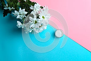 chamomile flowers in front of skin care cream on two colored background