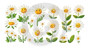 Chamomile flowers smiling characters cartoon vector set. Funny plants flora faces children creatures design