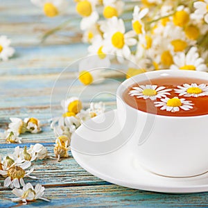 Chamomile flowers in a white cup of tea, daisy herbs on wooden background