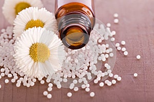 Chamomile globule alternative medicine