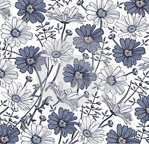 Chamomile Grass Wildflowers vector. Drawing, engraving. Beautiful vintage background blooming white blue realistic flowers.