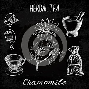 Chamomile herbal tea. Chalk board set of elements