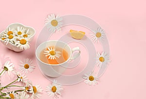 Chamomile herbal tea on a gentle pastel background, alternative medicine concept,summer background,chamomile is a medicinal plant
