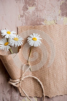 Chamomile herbarium composition on a craft paper