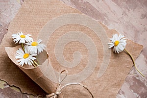 Chamomile herbarium composition on a craft paper