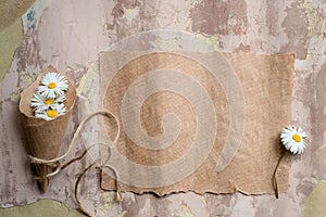 Chamomile herbarium composition on a craft paper