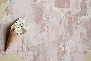 Chamomile herbarium composition on a craft paper