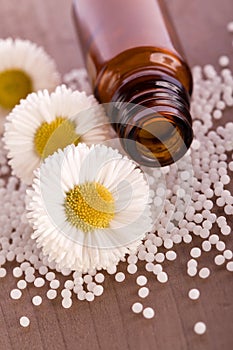 Chamomile homeopathic globule