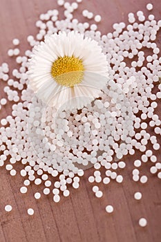 Chamomile homeopathic globule