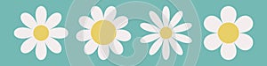 Chamomile icon set line. White daisy camomile . Cute round flower head plant collection. Growing concept. Love card. Simple