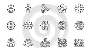 Chamomile line icons set. Daisy flower, echinacea vector illustration. Outline signs for camomile tea. Editable Stroke