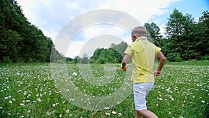 On a chamomile meadow, near a forest, a boy, a child, plays ball, throws it, runs after him. He is having fun. Summer