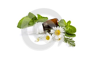Chamomile with mint leaves and oil on isolated white background