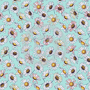 Daisy chamomile field meadow spring summer flowers seamless pattern on light blue sky background.