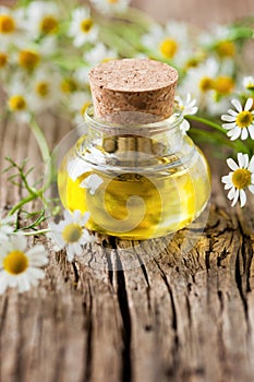 chamomile oil