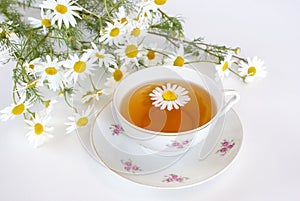 Chamomile tea photo