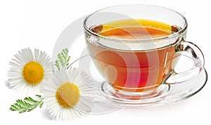 Chamomile tea photo