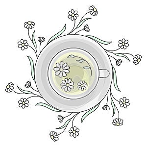 Chamomile tea cup with saucer, top view, encircled with flowers and leaves