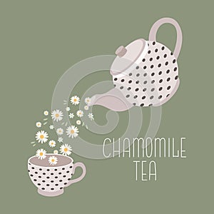 Chamomile tea, drink. Teapot and cup with chamomile tea and chamomile flowers. Illustration vector