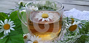 Chamomile tea. Flowers, leaves and a cup with tea on a wooden background. Drink with medicinal chamomile flowers