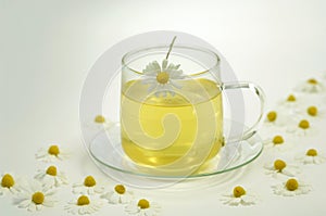 Chamomile tea in glass tea cup