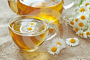 Chamomile tea healthy natural herbal relaxation