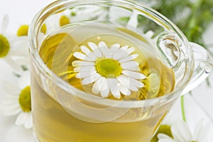 Chamomile tea, white background, closeup