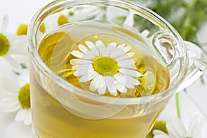 Chamomile tea, white background, closeup photo