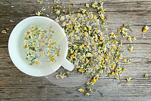 Chamomile tea