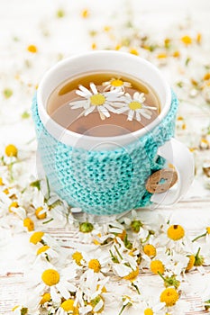 Cup of chamomile tea photo