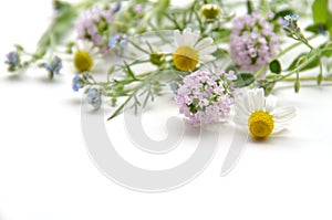 Chamomile and thyme