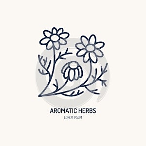 Chamomile vector line icon. Aromatic herbs logo, daisy chain sign. Linear illustration for natural camomile tea