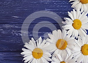 Chamomile wooden background festive composition