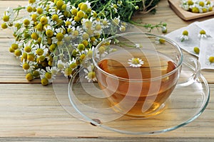Chamomille tea herb photo