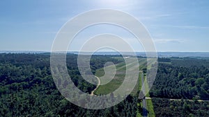 Field of fir treesclose to Le Buisson-de-Cadouin in the Black Perigord France