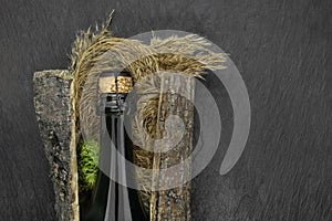 Champagne black glass bottle placed in tree bark with bent and moss on black stone background