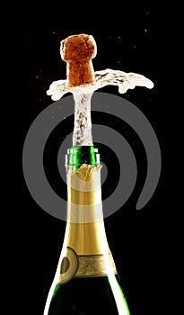 Champagne Bottle and Cork