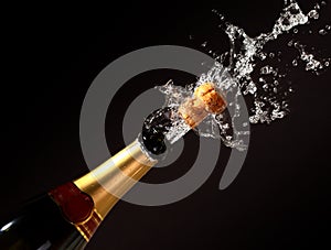 Champagne bottle eruption photo