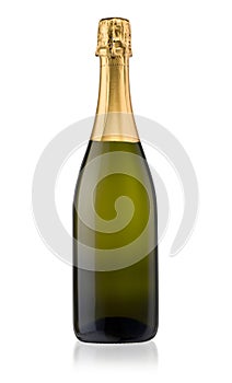 Champagne Bottle Isolated