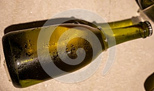 Champagne bottle during second fermentation with lees or dead yeast cells, making champagne sparkling wine from chardonnay and