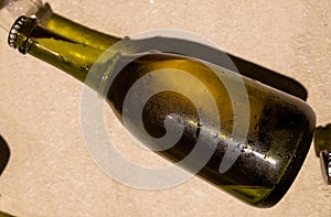 Champagne bottle during second fermentation with lees or dead yeast cells, making champagne sparkling wine from chardonnay and