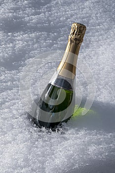Champagne bottle in snow
