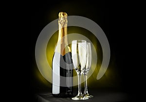 Champagne bottle with two glasses