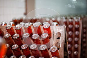 Champagne bottles in the cellar