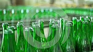 Champagne bottles on factory conveyor belt