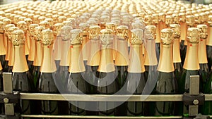 Champagne bottles on factory conveyor belt