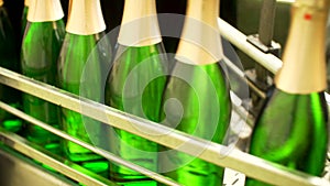 Champagne bottles on factory conveyor belt