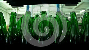 Champagne bottles on factory conveyor belt