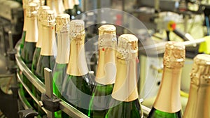 Champagne bottles on factory conveyor belt