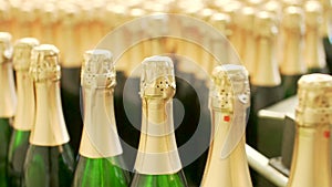 Champagne bottles on factory conveyor belt